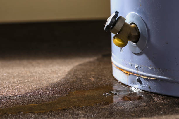 Best Basement water damage restoration  in Aitkin, MN