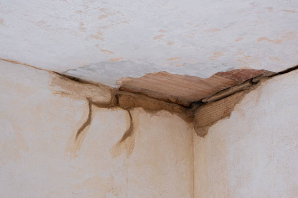 Best 24/7 water damage repair  in Aitkin, MN