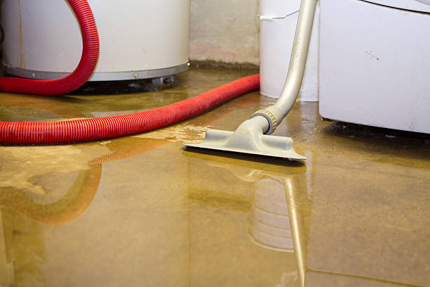 Best Mold removal after water damage  in Aitkin, MN