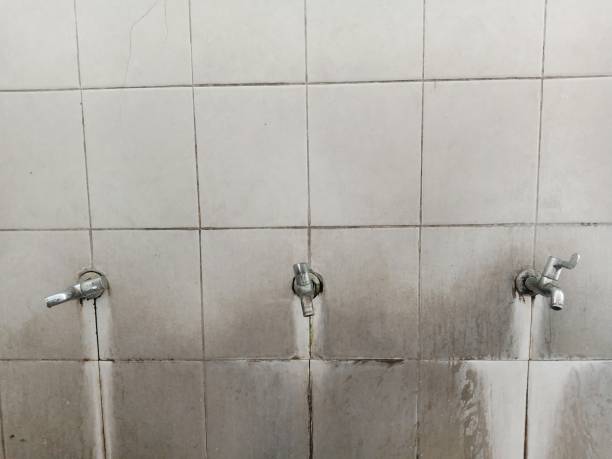 Best Commercial water damage restoration  in Aitkin, MN