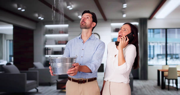 Best Fire Damage Restoration  in Aitkin, MN