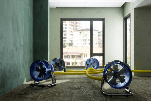 Best Residential water damage restoration  in Aitkin, MN